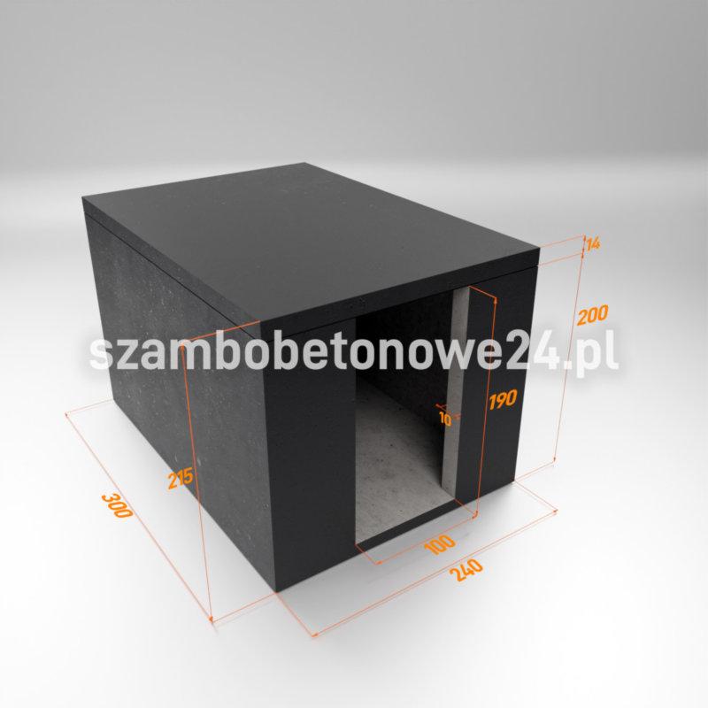 plaski-dach-wejscie-z-boku-02
